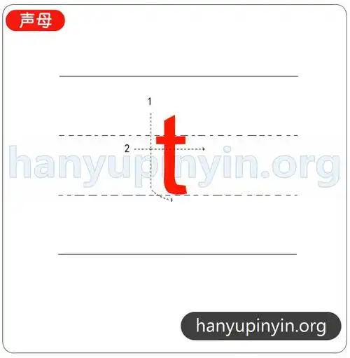 声母t的笔顺和笔画数