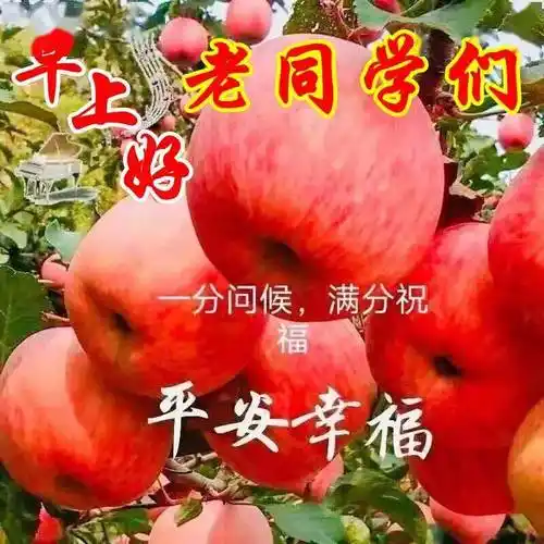 早上好表情包大全问候老同学非常时期保重身体