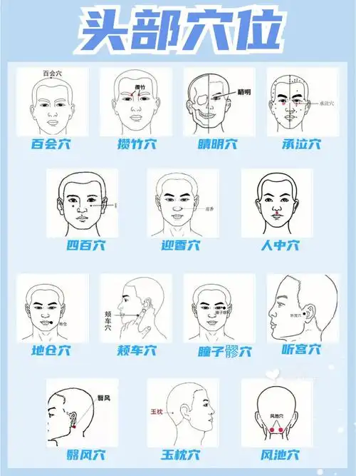 头部穴位76中yi认为头为诸阳之会