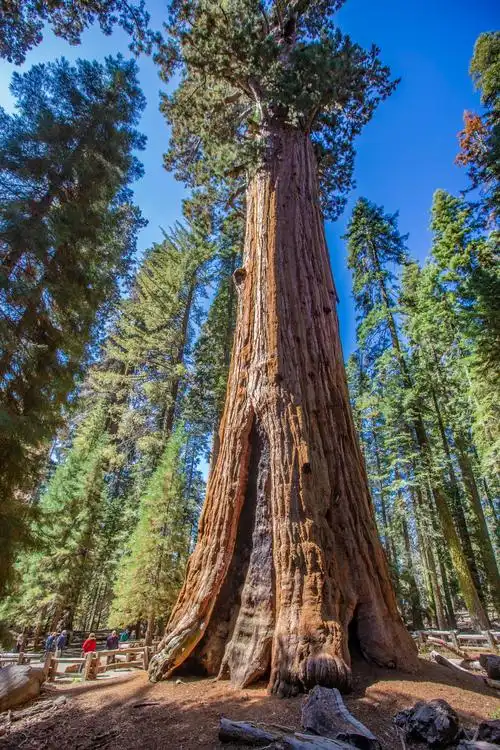 翼城到图莱里旅游
