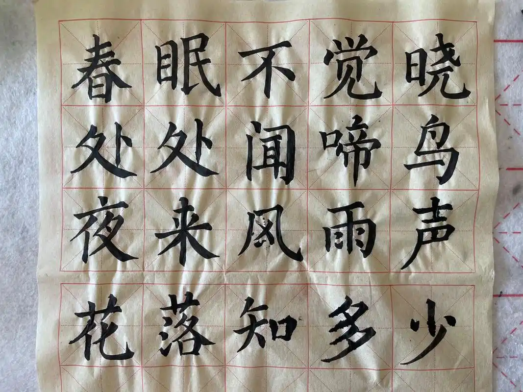 六厘米的格子,春晓