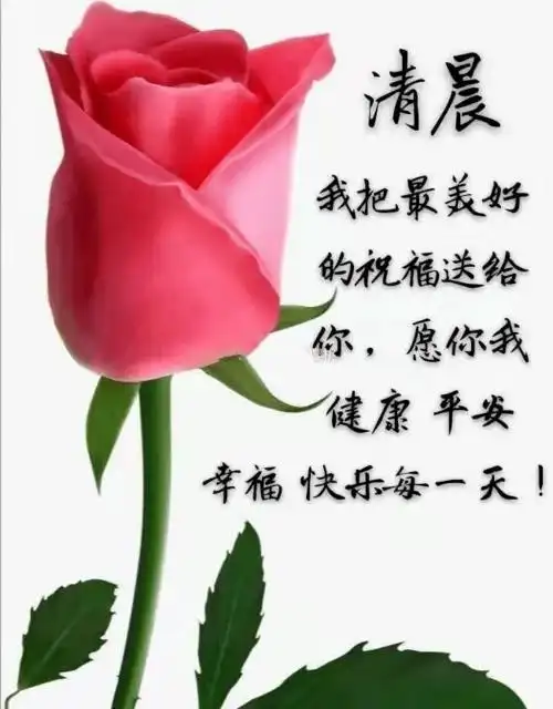 新的六月最美的早上好问候图片大全 阳光唯美的早安祝福表情包