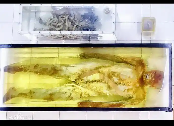 荆州凤凰山西汉男尸图片_百度百科