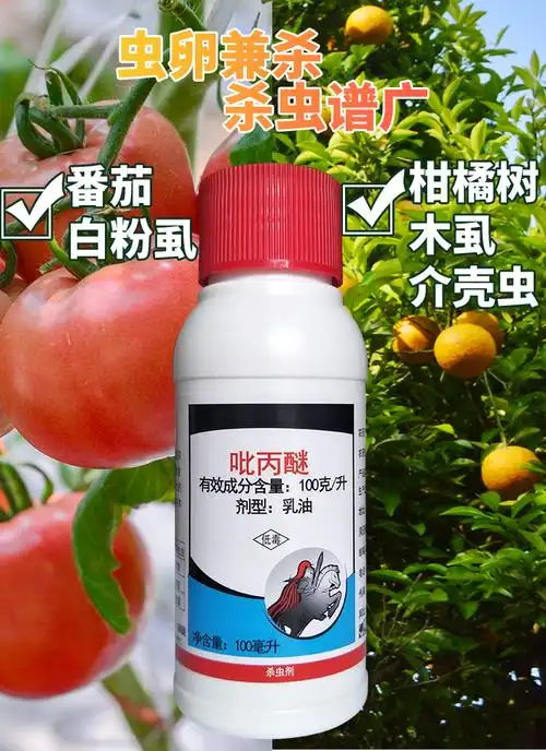 10%吡丙醚100ml乳油白粉虱蓟马梨木虱蚧壳虫杀卵杀虫剂农药 100ml
