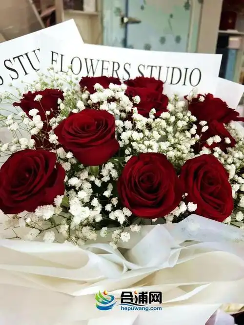王子|鲜花|花束|花材|香草|红玫瑰_网易订阅