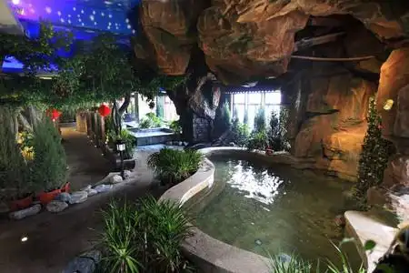 宿河南新乡元润天福温泉大酒店自驾2日游>房型套餐自选 空中花园别墅