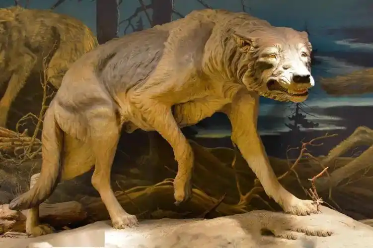 这几种不可一世的灭绝动物,逆天的攻击力让人类畏惧!