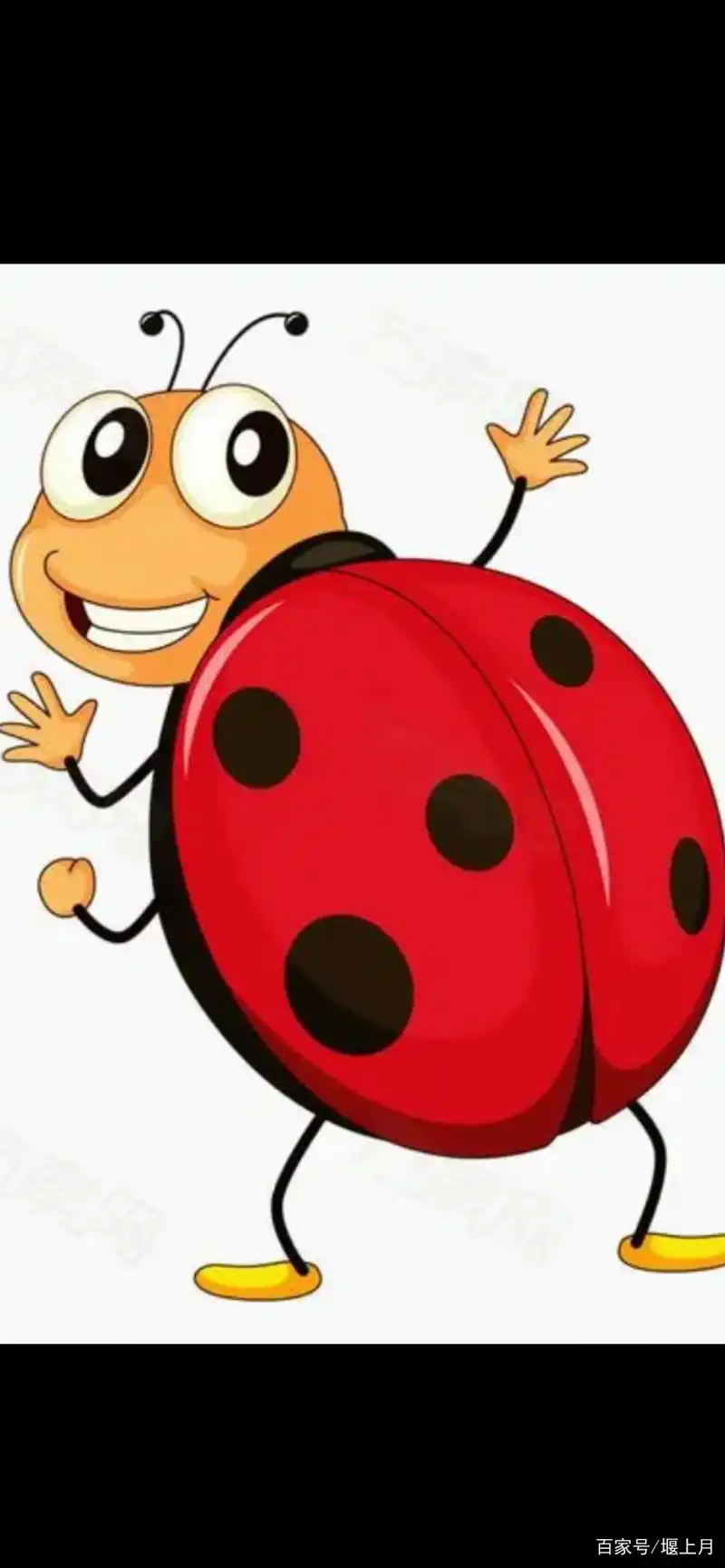 金龟子和小雨点