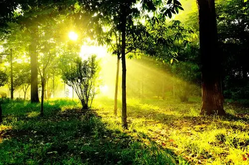 【晨曦微露摄影图片】生态摄影_太平洋电脑网摄影部落