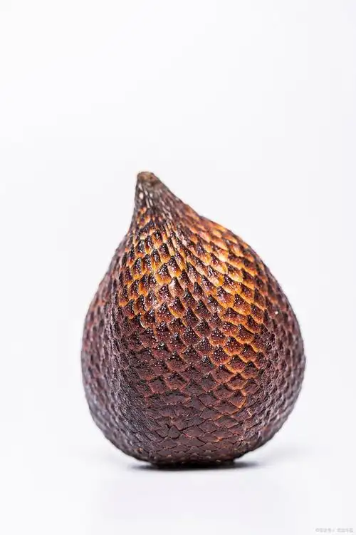 蛇皮果的功效与作用禁忌