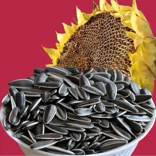 现炒生熟油葵瓜子小瓜子黑珍珠油葵瓜籽葵花籽南瓜子西瓜子可鸟食