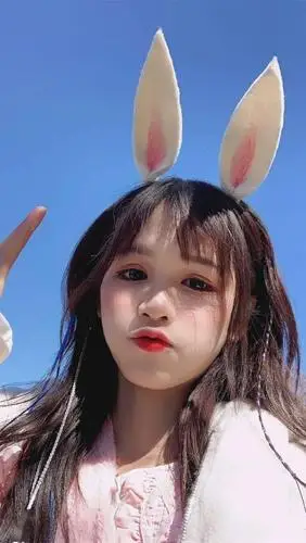 手机壁纸网红萌小叶