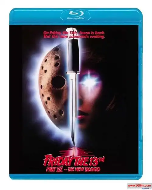 度盘美国19802009血腥暴力恐怖黑色星期五112部fridaythe13thbd720p