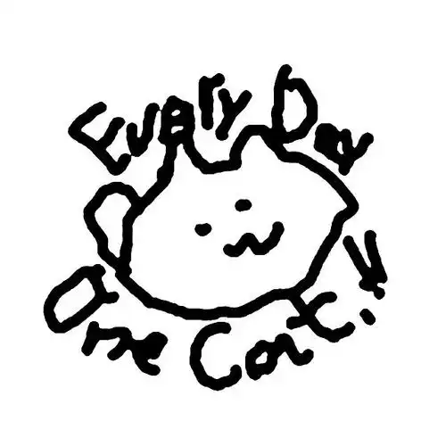 everyday one cat!