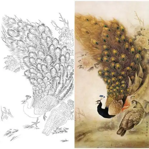 白描底稿-工笔花鸟-孔雀-a097