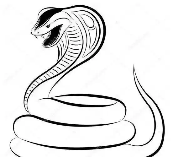 和眼镜王蛇相比呢?_毒蛇_毒液_毒素