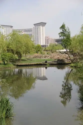 温岭锦屏公园随拍