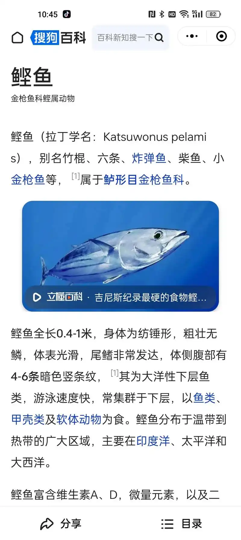 炸弹鱼,100/300,300/500.鲣鱼俗称炸弹鱼,金枪 - 抖音