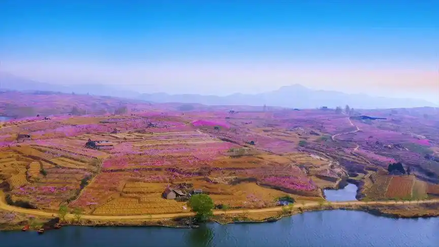 春暖花开奔你而来 #桃花94  #沂源 人间仙境,世外桃源—桃花岛