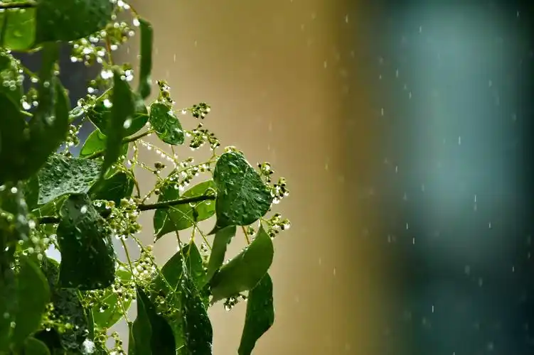 雨天对着窗外习拍