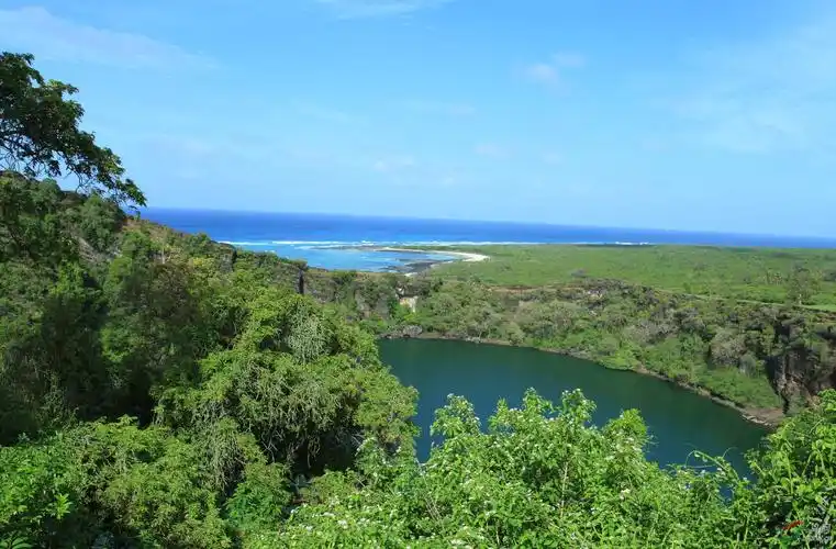 (科摩罗花蜜鸟)科摩罗行