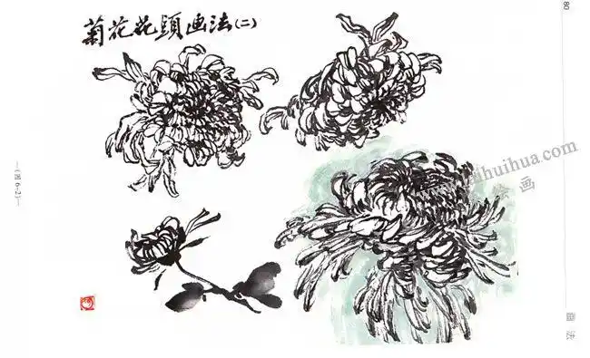 菊花的写意画技法,国画菊花写意技法- 小南美术网