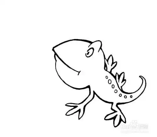 捉害虫的壁虎的简笔画