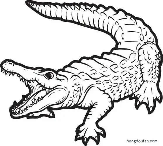 12张恐怖的可爱的鳄鱼涂色卡通简笔画