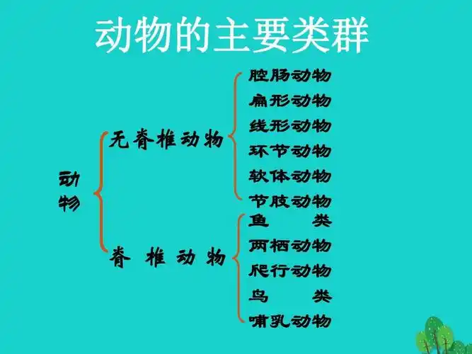 1动物的主要类群复习课件1(新版)新人教版