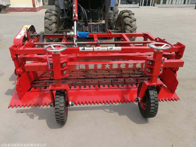 玛丽亚大蒜前置简易收获机不伤蒜