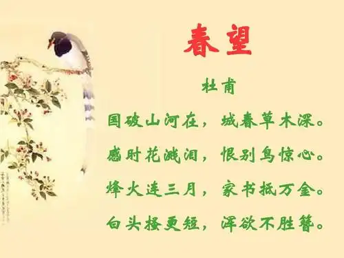 2015秋沪教版语文六上《春望》ppt课件1