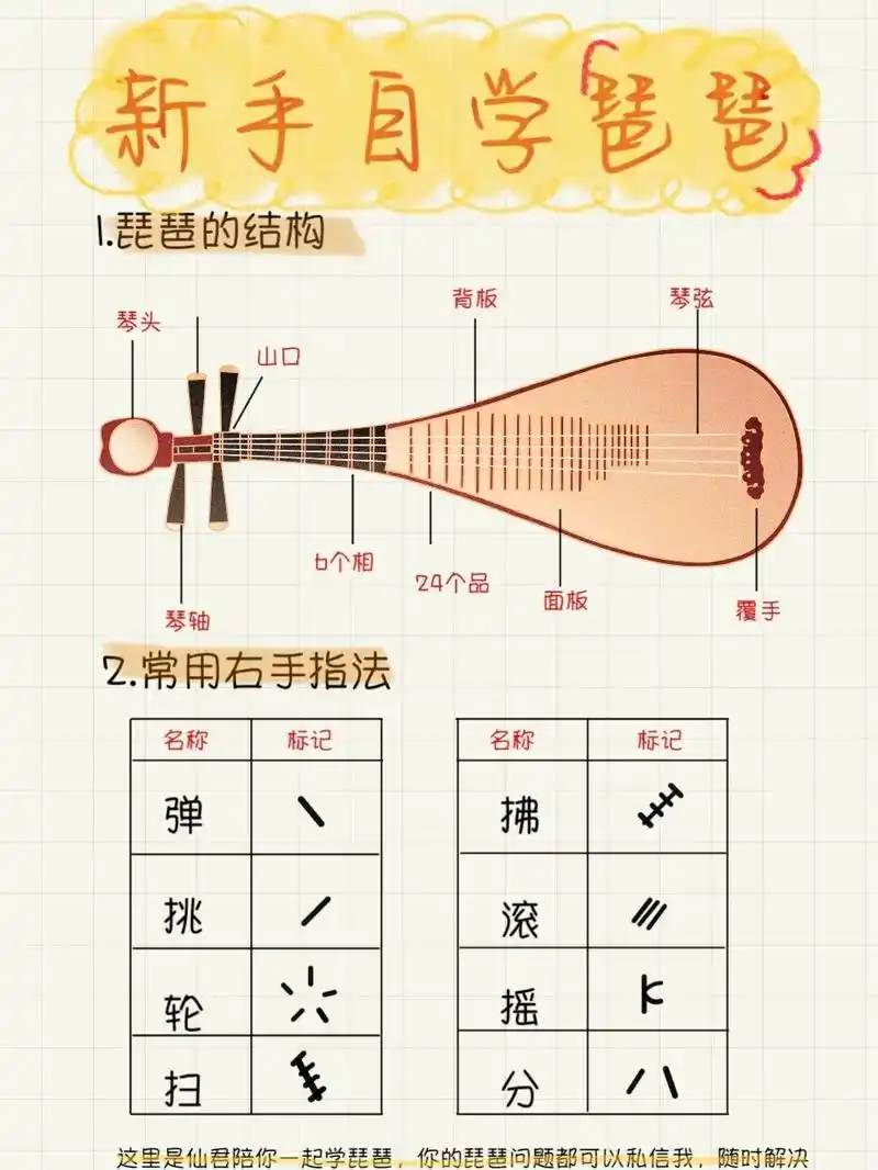 小白入门太痛苦?四张图搞定!新手小白想学琵琶,却找 - 抖音