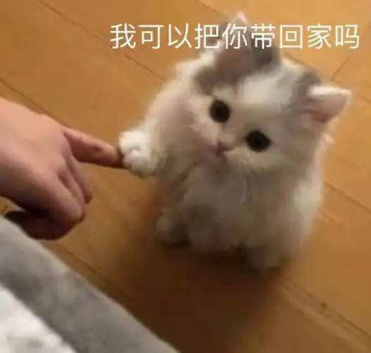 我可以把你带回家吗可以带回家表情