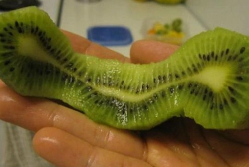 世上最奇葩的变异水果,吃过2款的,允许叫你一声土豪