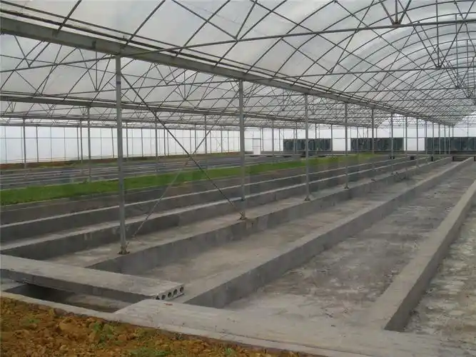 项目实拍图项目概况11072021.09.10养殖大棚1500㎡