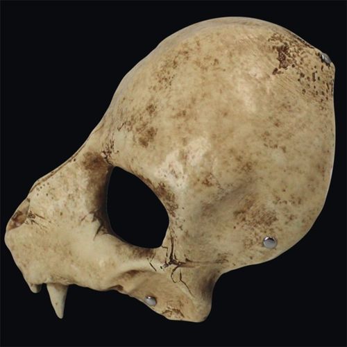 万圣节狼人面具树脂头套特别趣味梦幻级狼头骨装饰扮演道具mask