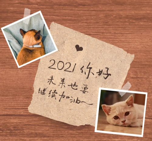 1/ 12 过完今天,就迎来了#2021年第100天#,丢掉遗憾和不快.