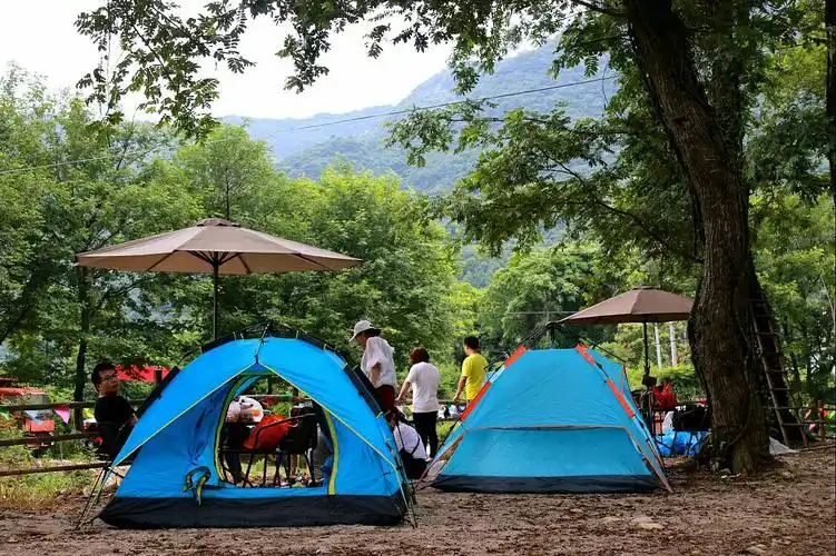 夏日露营场地