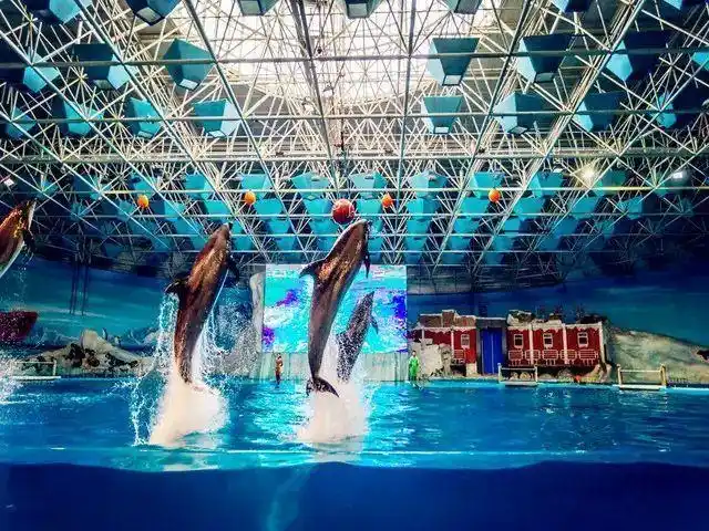 烟台夏季热门旅游景点 蓬莱极地海洋世界旅游攻略 免费语音导游