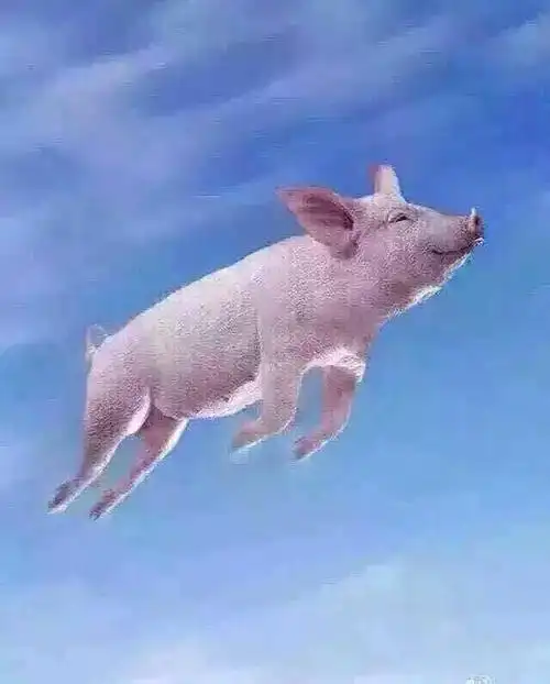 老铁总可一地儿扎心