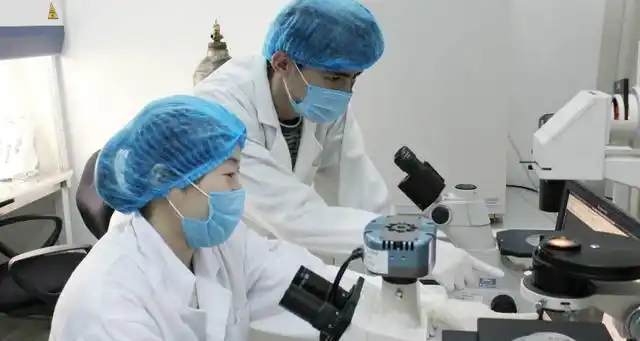 海关检验检疫需要什么专业