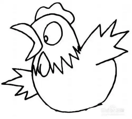 儿童简笔画动物母鸡妈妈