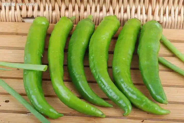 供应新鲜长椒-辣椒产业网