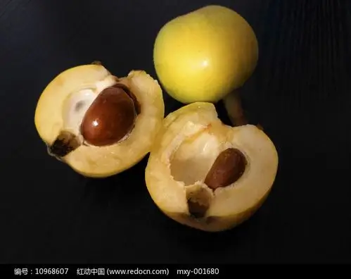 枇杷果核