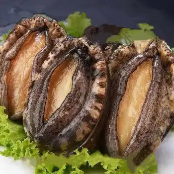 燕江澜鲜活速冻海捕超大个新鲜冷冻鲍鱼食材批发贝类海鲜水产三斤1216