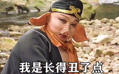 我是长得丑了点 可常言说 粗柳簸箕细柳斗 世上谁嫌表情包