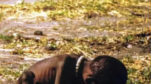 28年前那个被秃鹫死死盯着的黑人小女孩后来活下来了吗