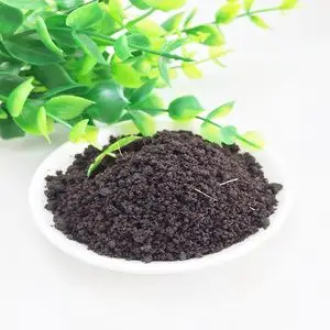 【麝香药材中药】麝香药材中药品牌,价格 - 阿里巴巴