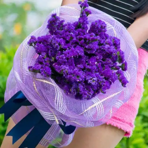 紫色勿忘我干花花束生日送女友闺蜜同学同城鲜花速递深圳广州南京