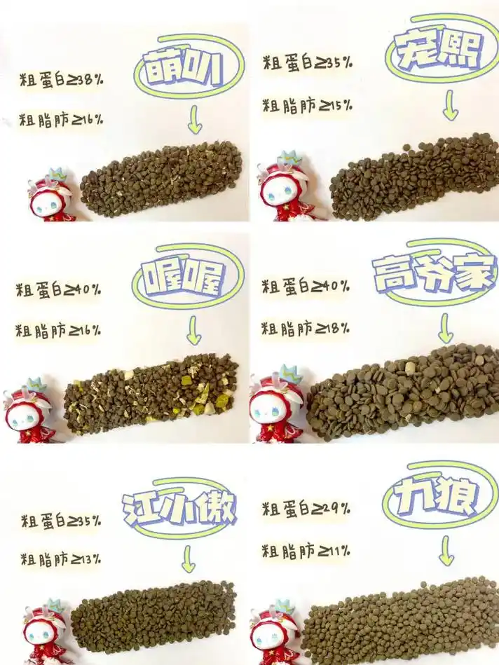 宠物健康小知识|如何选择一款合适的猫粮.粮海沉浮数载,选猫粮 - 抖音